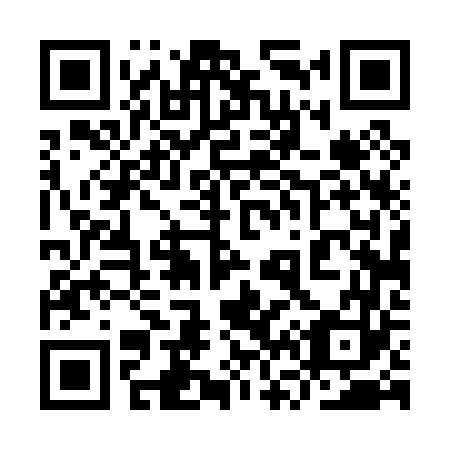 QR code for plate 9V 4063