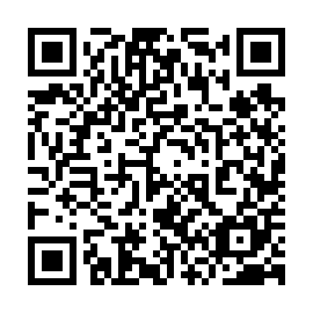 QR code for plate 9V 6605