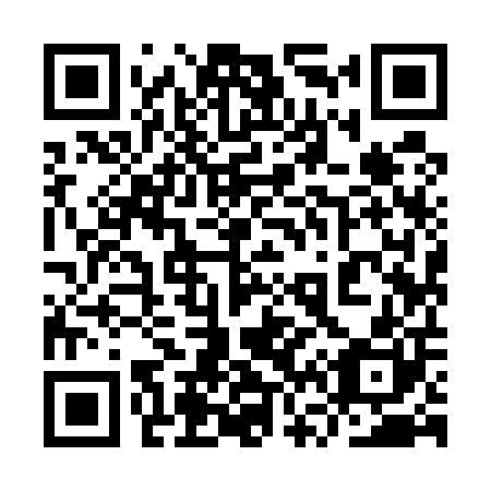 QR code for plate 9V 9500