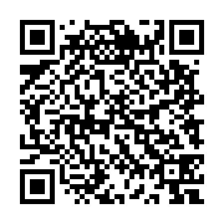 QR code for 9W 4538