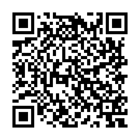 QR code for 9W 9951