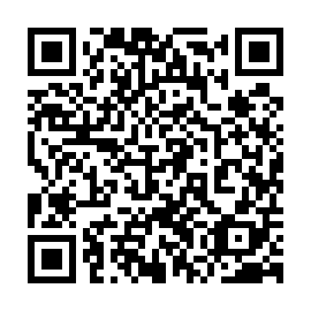QR code for plate 9WI 508