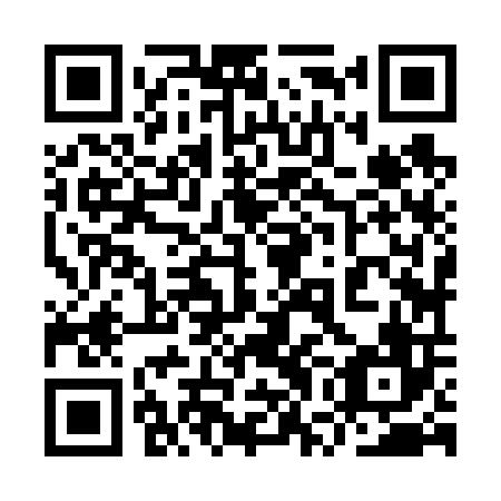 QR code for plate 9WJ 606