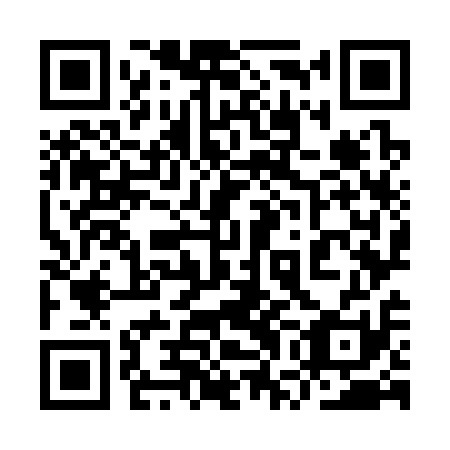 QR code for 9WO311