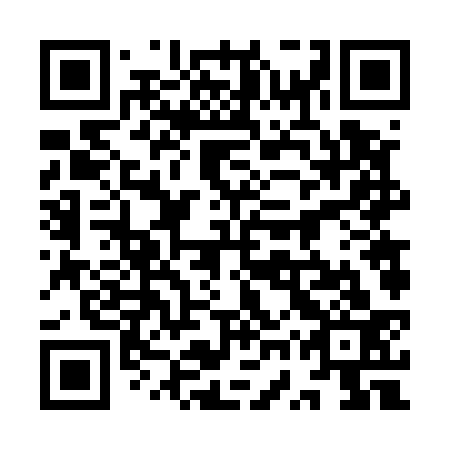 QR code for 9WV 533