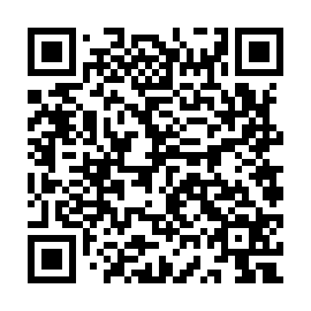 QR code for plate 9WV 924