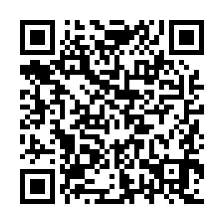 QR code for plate 9WZ 091