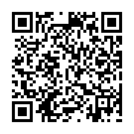 QR code for 9X 0387