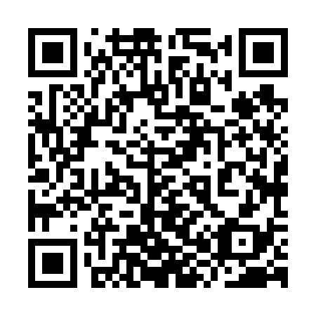QR code for 9X 8638