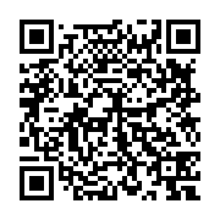 QR code for plate 9X 3838