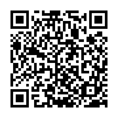 QR code for plate 9X 6563