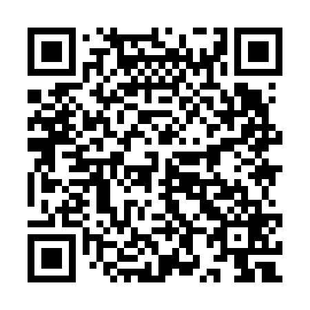 QR code for plate 9X 9669
