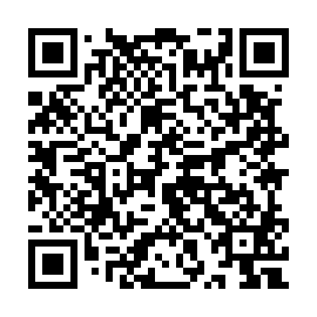 QR code for plate 9XI 581