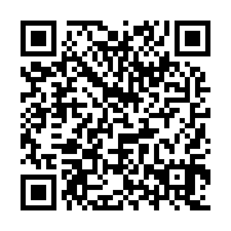 QR code for plate 9XZ 915