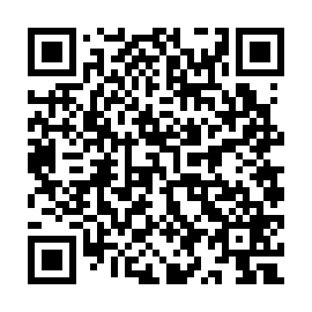 QR code for plate 9Y 6369