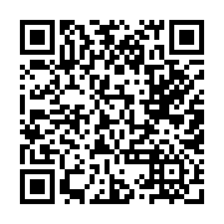 QR code for plate 9YE 196