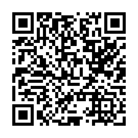 QR code for plate 9YV 043