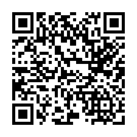 QR code for 9Z 0335