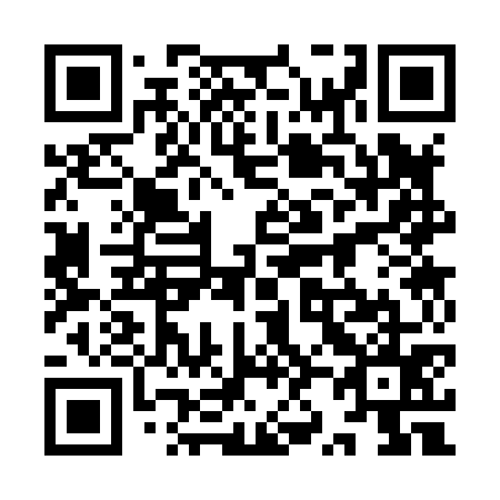QR code for 9Z 3875