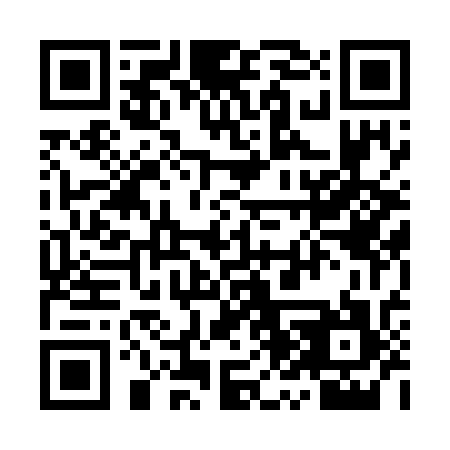 QR code for 9Z 4737