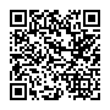 QR code for 9Z 6603