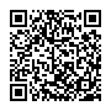 QR code for 9Z 8733