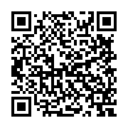 QR code for plate 9Z 3896