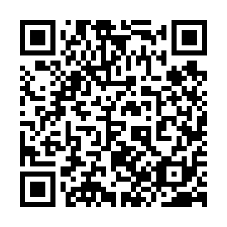 QR code for plate 9Z 6611