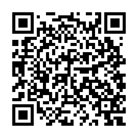 QR code for plate 9ZF 313