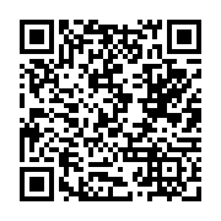 QR code for plate 9ZF 463
