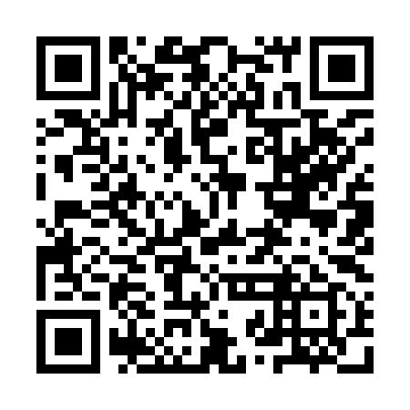 QR code for 9ZI 999