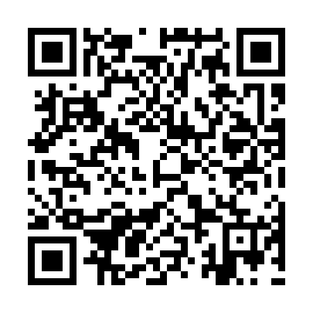 QR code for plate 9ZL 165
