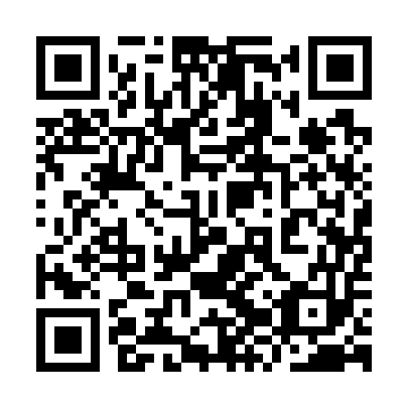 QR code for plate 9ZQ 753