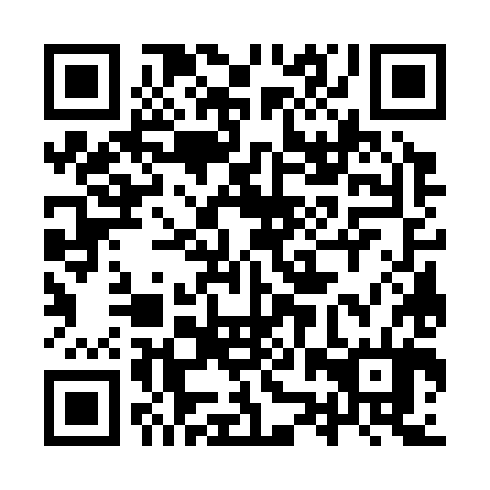 QR code for plate 9ZW 384