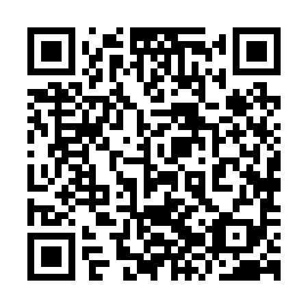 QR code for 9ZX299