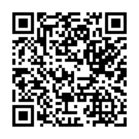 QR code for 9ZX995
