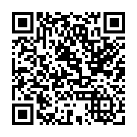 QR code for D0B334