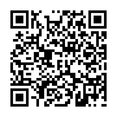 QR code for D0D 313