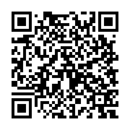 QR code for D0D173
