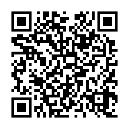 QR code for plate D0D 338
