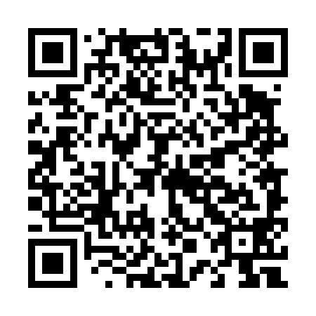 QR code for plate D0D 498