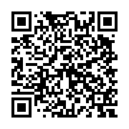 QR code for D0E 411