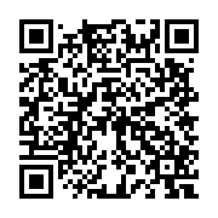 QR code for plate D0E 505