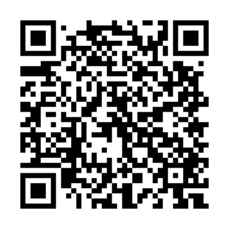QR code for plate D0E 549