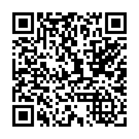 QR code for D0G 295