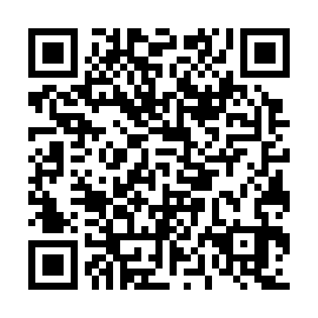 QR code for D0G 333