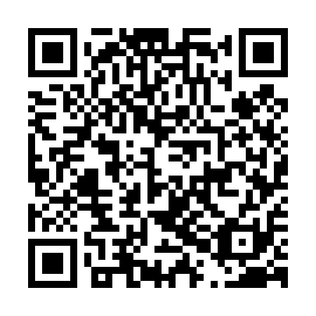 QR code for D0G 411