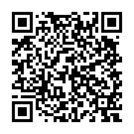 QR code for D0G 490