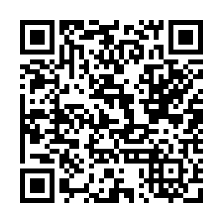 QR code for plate D0G 302