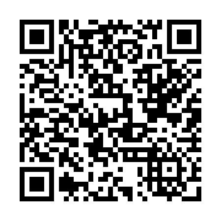 QR code for D0G376